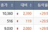 [급등락주] 애경케미칼, 나트륨이온 배터리 기대감에 ‘상한가’