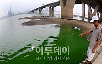 [포토]한강 녹조 비상, '녹색 한강'
