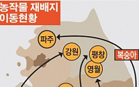 사과의 주산지가 평창?… 농작물 재배 지도가 달라진다