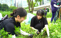 안랩, 탄천 수내습지생태원서 환경정화 봉사활동