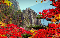 한반도 대표 명산 '금강산' 유네스코 세계유산 유력⋯등재 신청 4년만