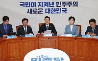 민주, 13일 차기 원내대표 선출키로