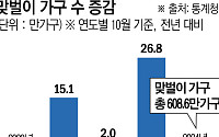 작년 '1인 가구' 첫 800만 가구 돌파...'맞벌이 부부'는 4년 만에 감소