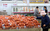 양파값 전·평년보다 20%↓…정부, 비축 물량 수출로 ‘가격 방어’ 나선다