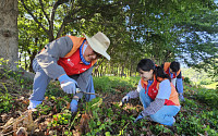 SKC, 울산서 생태계 보호 활동…외래식물 제거 나서
