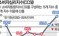 “새 정부 기대감 속 주식까지 올라” 소비자심리지수, 4년來 최고