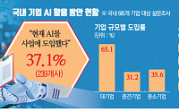 ‘AI 강국’ 외치지만 기업 활용 하세월 “제조 AI 미래 개척해야” [新 메가 샌드박스③]