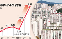 “1기 신도시 선도지구 효과”…분당 아파트값 급등세, 변수는 ‘사업 지연’