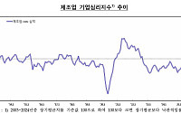 기업심리지수, 넉 달만에 하락 전환…“美 관세·중동 리스크 영향”