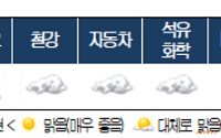 “올해 하반기 반도체·디스플레이 ‘대체로 맑음’…철강·자동차·석유화학 ‘흐림’”