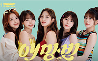 배스킨라빈스, 신규 브랜드 모델 ‘르세라핌’ 발탁