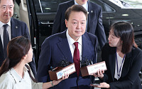 “국무회의 의결부터 가급적 尹 외환 혐의도 조사”