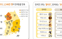 KB금융 “반려동물 인구 1546만⋯생애지출 규모 2년 새 2배 증가”