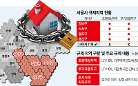'대출 조이기' 다음은 지역 규제?...“이젠 공급 정책 나올 때”