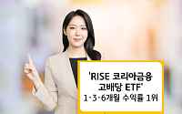KB자산운용 'RISE 코리아금융고배당', 고배당주 ETF 중 1·3·6개월 수익률 1위