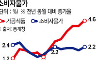 6월 물가 다시 2%대로…가공식품·달걀 등 먹거리 고공행진(종합)