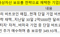 ‘스트래티지 따라하기’ 확산…전 세계 기업들, 코인 전략자산화 러시