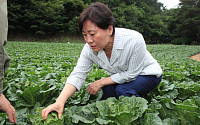 송미령 장관 " 배추, 가용물량 역대 최대로 확보...수급안정 선제 대응"