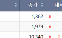 [급등락주 짚어보기] 현대ADM, 췌장암 항암제 연구 발표 영향 지속…이틀째 '上'