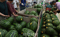 수박, 한 통에 ‘3만원 시대’ [물가 돋보기]