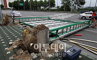 [포토]서울 태풍 볼라벤 피해 속출