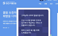 '보안 인증' 받은 금융사 125곳⋯SGI서울보증 왜 빠졌나