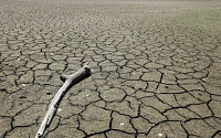 [글로벌이슈] 미국 중서부 가뭄에 곡물값 최고치 행진