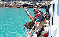 롯데마트, 여수 바다서 해양 생태계 보전 활동