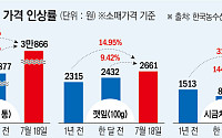 한달 만에 수박·깻잎·달걀 가격 급등⋯‘3폭’에 식탁 물가 비상등[전국 휩쓴 물폭탄]
