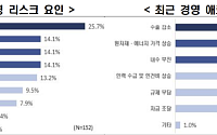 기업 53% “하반기 경영여건 상반기와 비슷”… 개선 전망은 30%