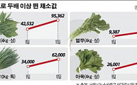 물가비상… 채소값 하루만에 두배 올랐다