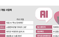 ‘국가대표 AI’ 경쟁에 빅테크와 맞짱 뜨는 ‘K-스타트업’