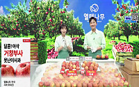 NS홈쇼핑, 올 상반기 ‘못난이 사과’ 1149톤 팔았다