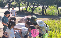 숲길 따라 책 향기까지…강동숲속도서관 연계 숲 해설 프로그램 운영