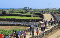 제주서 '농어업유산 국제콘퍼런스' ⋯ 제주 밭담·해녀문화 세계화 논의