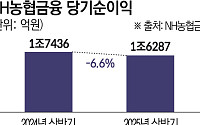 NH농협금융, 상반기 당기순이익 1조6287억…전년比 6.6%↓