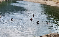 가평 신청평대교 인근서 실종자 추정 시신 발견…남성으로 추정