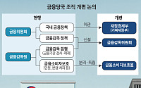 금융당국 개편안 이달 확정 전망…선결 과제 ‘산적’