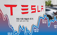 자율주행 제동에 전기차 부진까지…‘테슬라 거리두기’ 나선 개미들