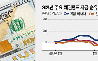 美국채 피로에 신흥국 국채·유럽 회사채 반사이익