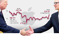 팀 쿡, 백악관 방문 베팅 통했다…애플 주가, 지난주 5년래 최대폭 상승