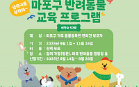 마포구, 반려동물과 특별한 동행…우리 댕쪽이가 달라졌어요