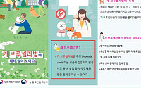 인천 개 브루셀라병 확산 방지 총력…105마리 확진·격리 치료