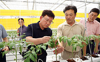 이승돈 농진청장, 취임 첫 현장방문⋯토마토뿔나방 방제상황 점검