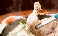 '생방송 투데이' 오늘방송맛집- 외국인의 밥상, 삼계탕 한 상 '퓨○○○'