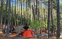 '쉼'의 미학...광양 백운산휴양림~배알도 섬정원까지