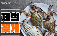 ‘불붙은 햇꽃게 할인戰’ 쿠팡, 100g당 760원 판매...이마트 19원 또 인하 [물가 돋보기]