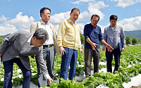 aT, 남원 준고랭지서 여름배추 시범재배 점검…“새 재배지로 수급 안정화”
