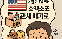 미국 “소액 소포도 관세”...역직구 활황은커녕 수출 난감해진 K브랜드