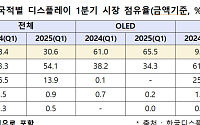 韓 디스플레이, 3년 만에 매출 100억 달러 재탈환